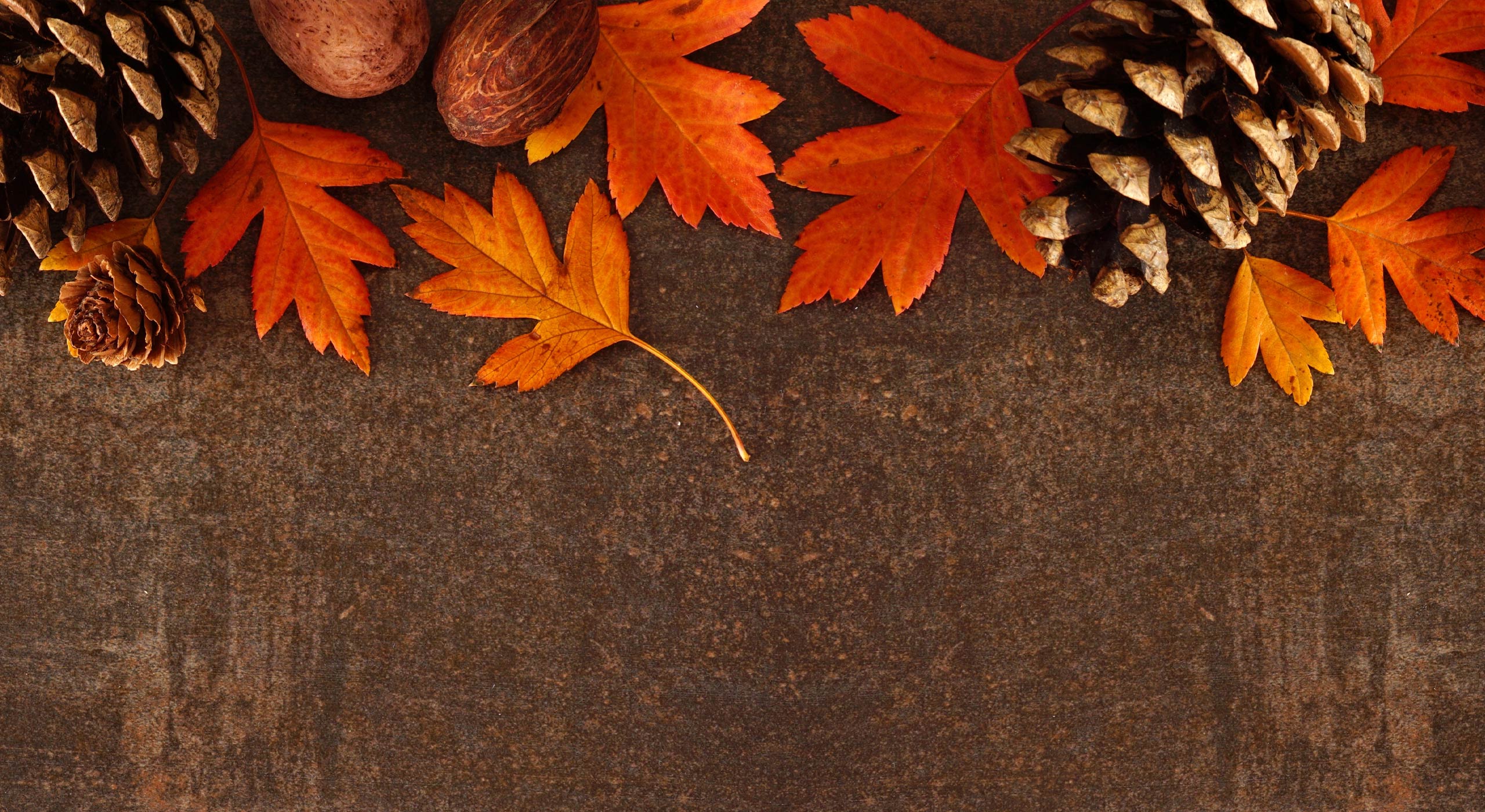 Autumn-themed arrangement with pinecones and leaves on a textured surface.