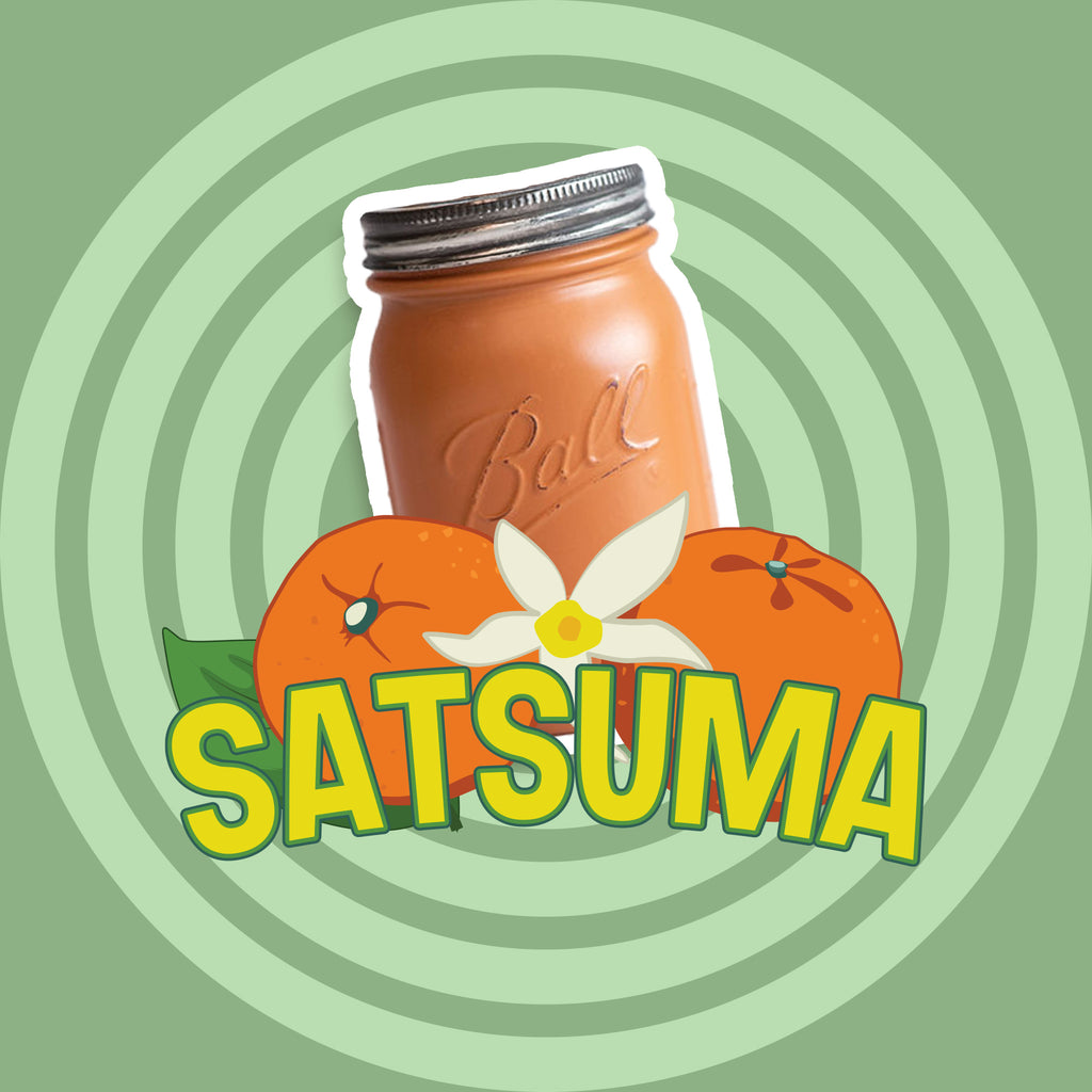 A rust coloured mason jar with satsuma oranges and a flower on a green circular background.