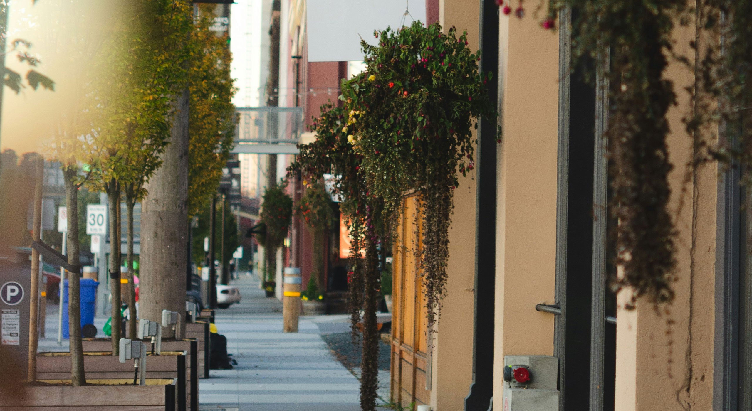 Street scene with buildings and trees on a city street.